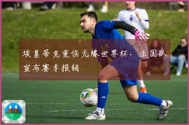 埃基蒂克重伤无缘世界杯，法国队宣布赛季报销